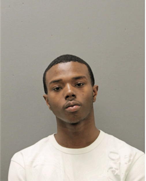 JOE A VANPELT, Cook County, Illinois