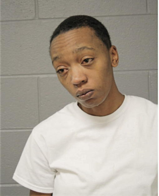 BRITTANY B WILLIAMS, Cook County, Illinois