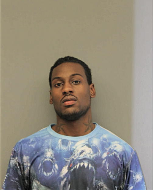 TIMOTHY J WILLIAMS, Cook County, Illinois