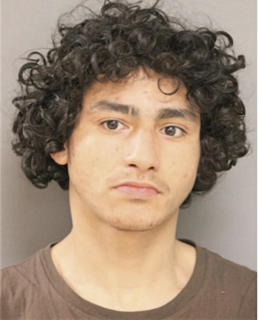 ISAIAS S COLON, Cook County, Illinois