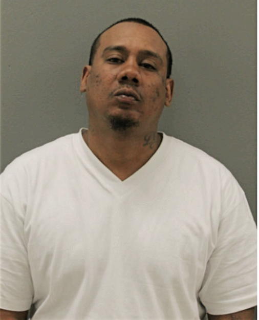 MICHAEL J DAWSON, Cook County, Illinois