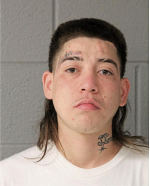 ERICK FLORES, Cook County, Illinois