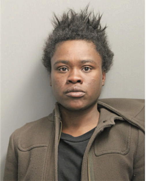THERESA L FOSTER, Cook County, Illinois