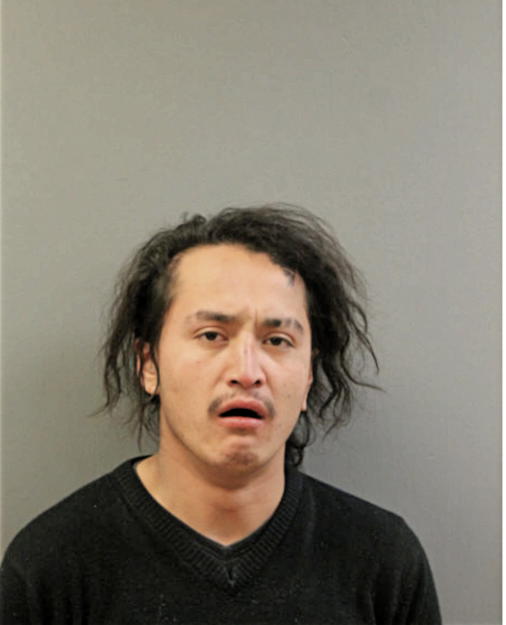 EDGAR A GARCIA, Cook County, Illinois
