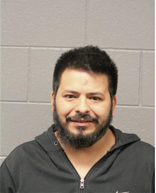ALEJANDRO R HERNANDEZ, Cook County, Illinois