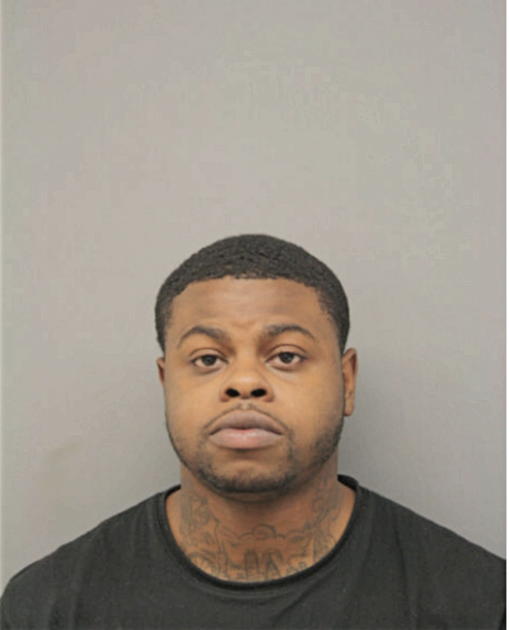 JAMES E HOPKINS, Cook County, Illinois