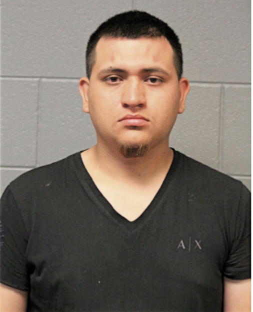CESAR M JARAMILLO, Cook County, Illinois