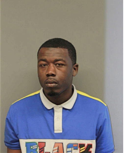 SAVION M JOHNSON, Cook County, Illinois