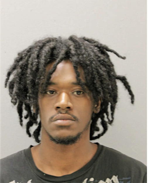 WAYLAND C JOHNSON, Cook County, Illinois