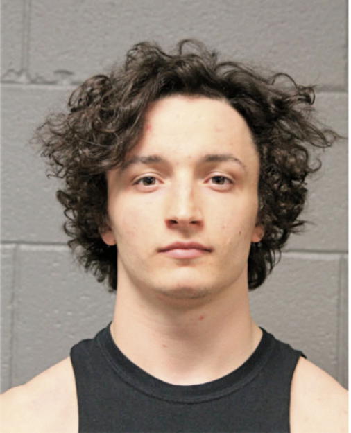 TYLER L LAUER, Cook County, Illinois