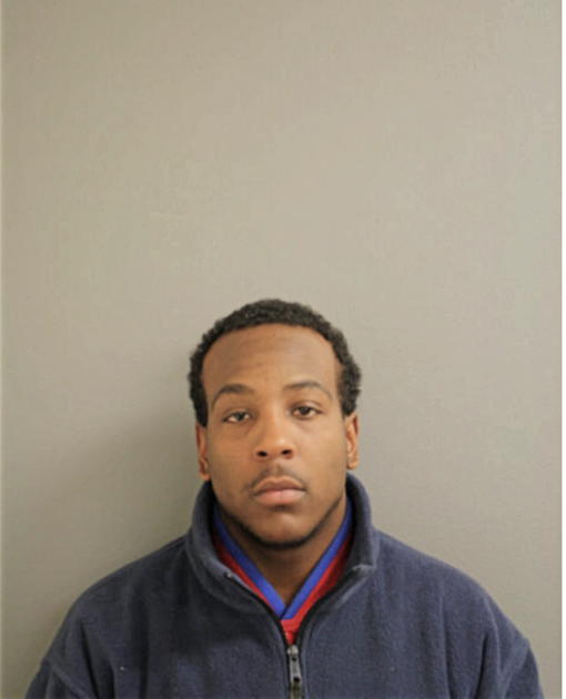 TERRELL J MATTHEWS, Cook County, Illinois