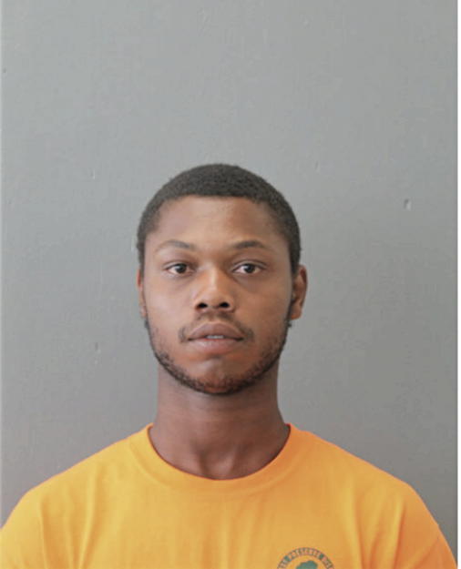 TIMOTHY L MAYES, Cook County, Illinois