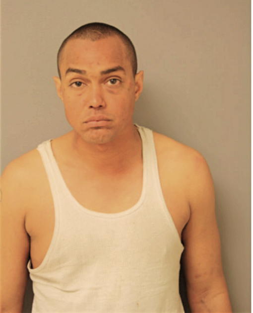 LUIS M MENDEZ-FLORES, Cook County, Illinois