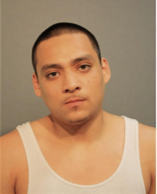 RALPH D MENDEZ, Cook County, Illinois