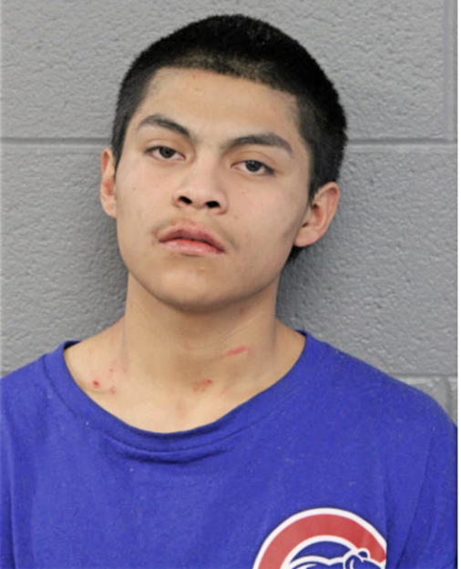 JULIO PENA-FERNANDEZ, Cook County, Illinois