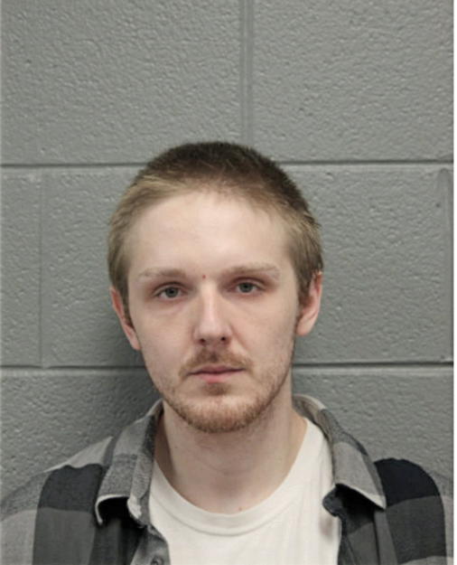 DAVID J REGNER, Cook County, Illinois