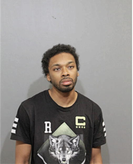 DAMIEN V ROBINSON, Cook County, Illinois