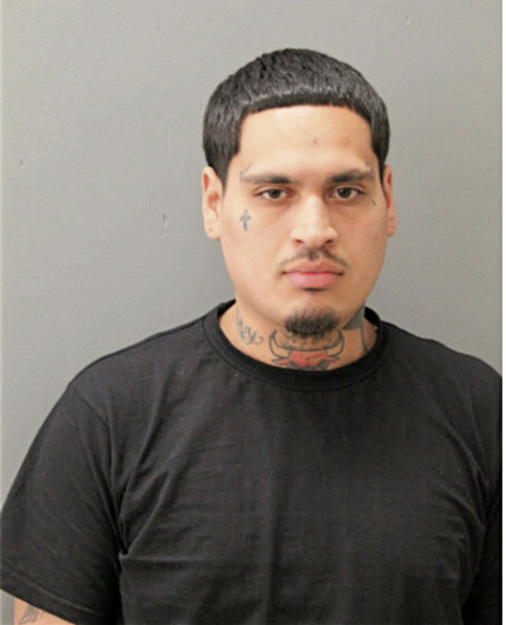 GENARO S SOTO-GREER, Cook County, Illinois