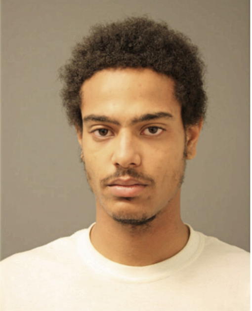 MICHAEL K WILLIAMS, Cook County, Illinois