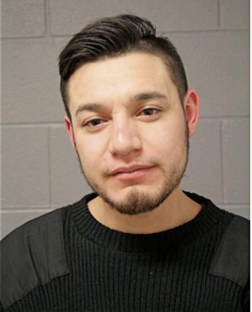 JUAN CARLOS ARRIAGA, Cook County, Illinois