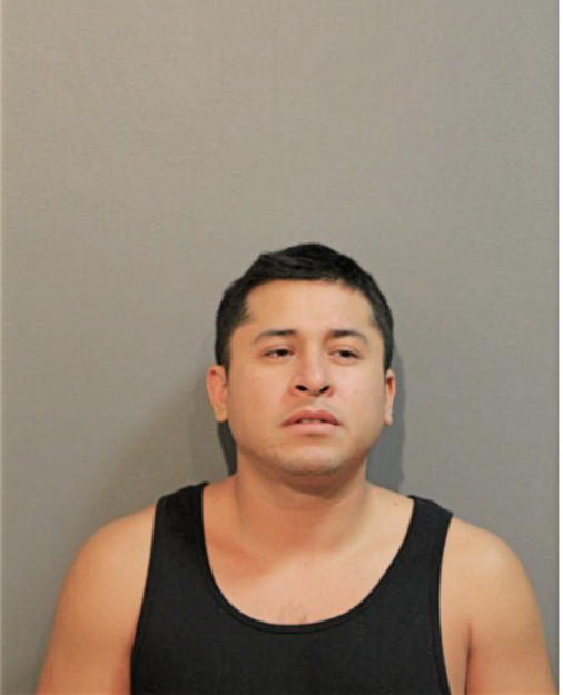 GUADALUPE P BENAVENTE, Cook County, Illinois