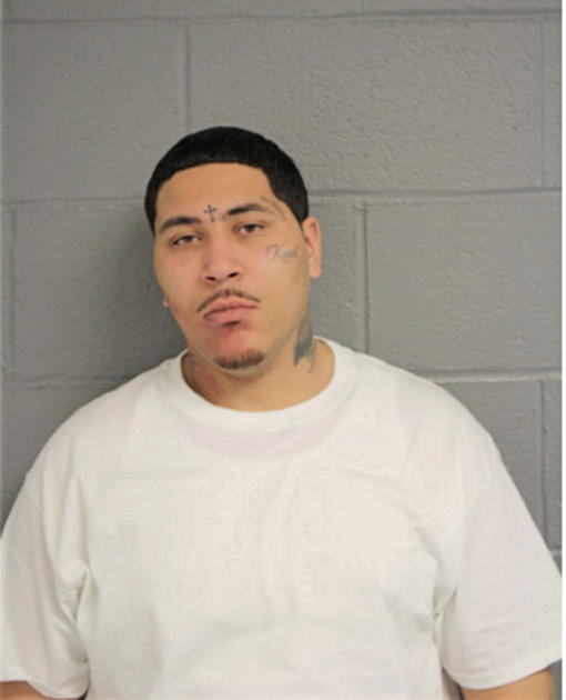 NICHOLAS L BROWN, Cook County, Illinois
