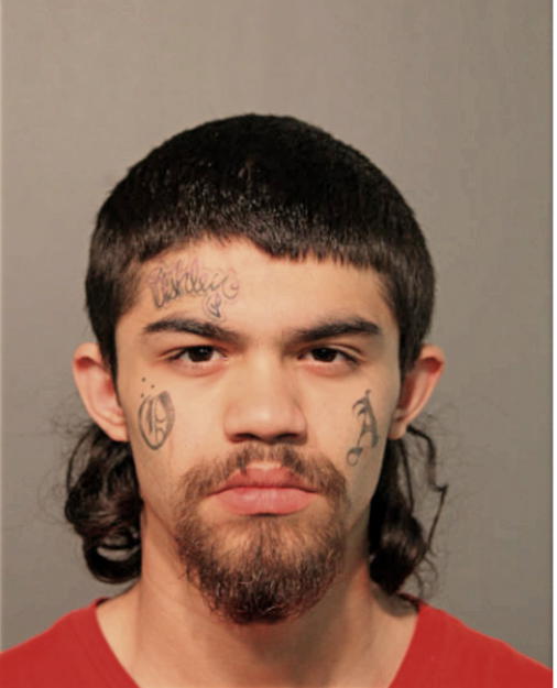 GEOVANNIE D COLLAZO, Cook County, Illinois