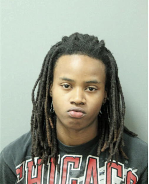 AMBER J DOMINGUEZ, Cook County, Illinois