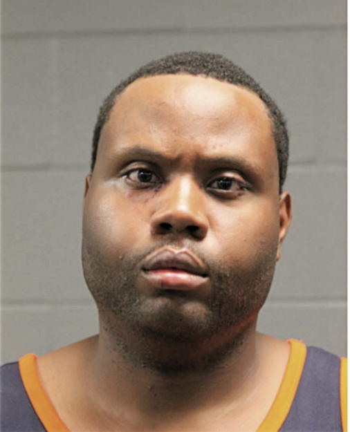 MICHAEL T DREW, Cook County, Illinois