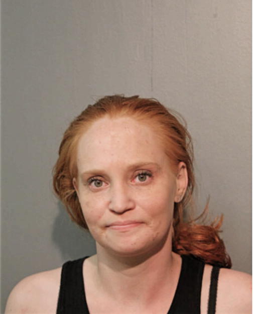 KRISTIN L ERICKSON, Cook County, Illinois