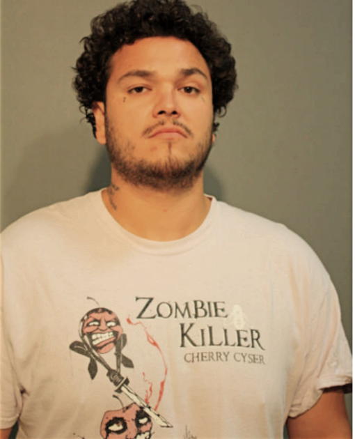 JESSE M GARCIA, Cook County, Illinois
