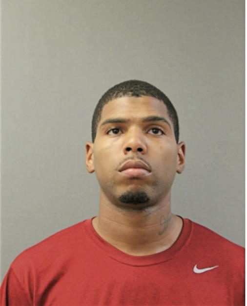 CHRISTOPHER D GAYLES, Cook County, Illinois