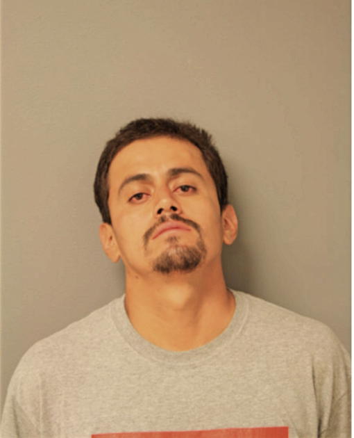 JESUS M GERONIMO, Cook County, Illinois
