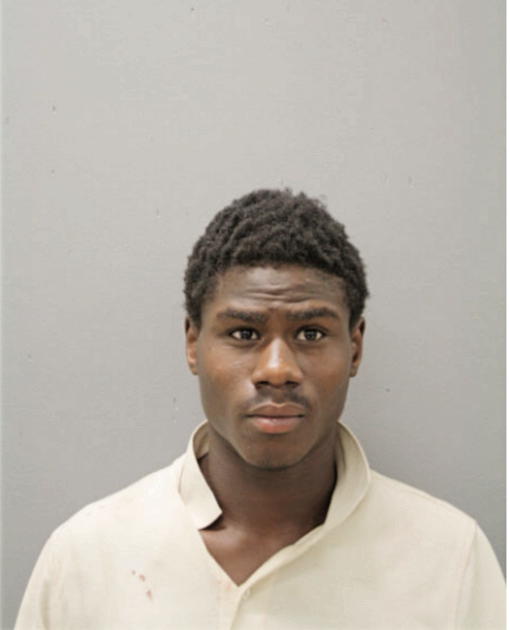 LEANDREW GIBSON, Cook County, Illinois
