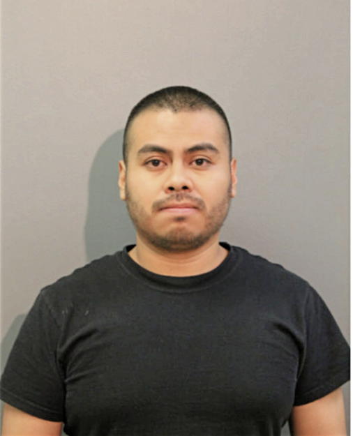 FRANCISCO GONZALEZ, Cook County, Illinois