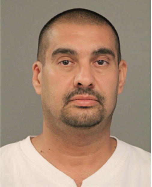 HANI H HAMAD, Cook County, Illinois