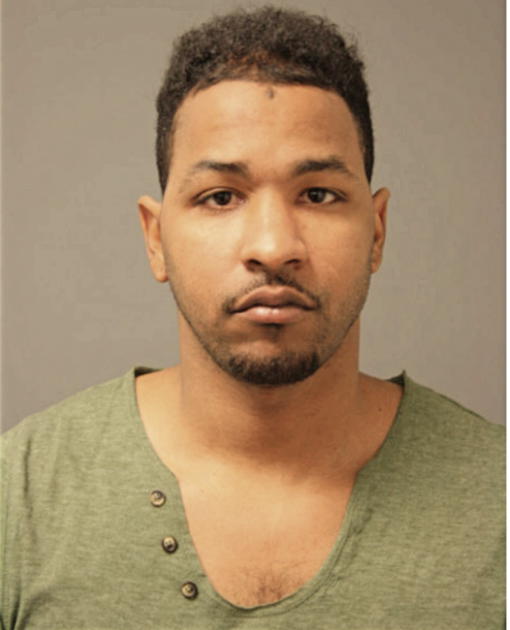 CORNELIUS HOLLINS, Cook County, Illinois