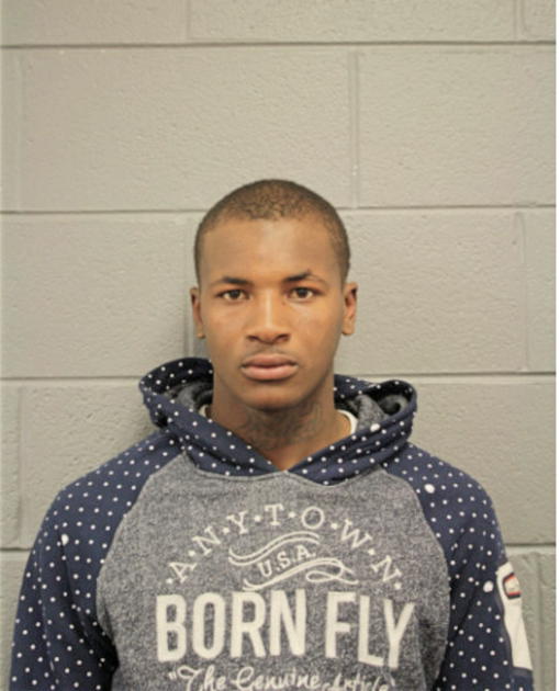 TERRENCE L JOHNSON, Cook County, Illinois