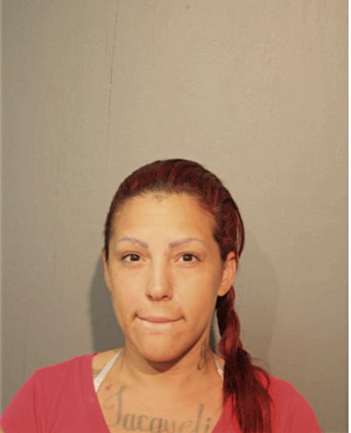 HARLINA M LUGO, Cook County, Illinois