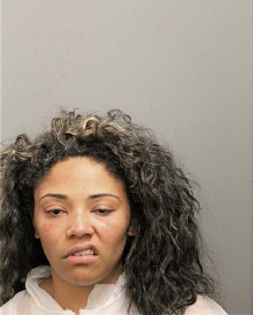 BRITTANI J MITCHELL, Cook County, Illinois