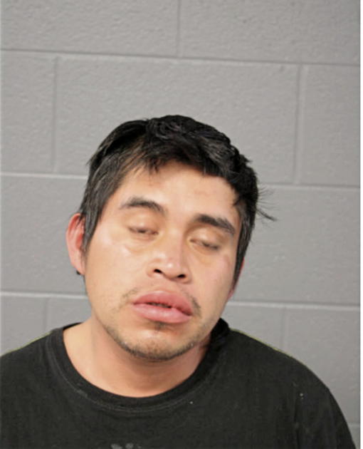 ARTURO A MODESTO, Cook County, Illinois
