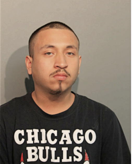 DAVID NAVARRO, Cook County, Illinois
