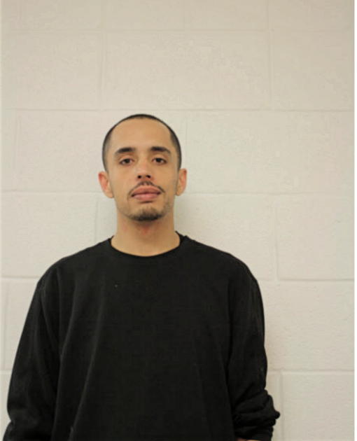 DANIEL A ORTIZ, Cook County, Illinois