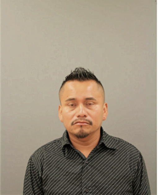FELIPE PALOMINO-MATA, Cook County, Illinois