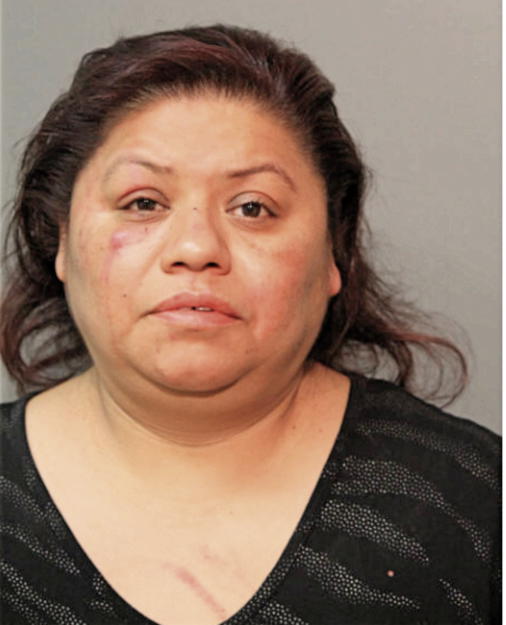 ELVIA RODRIGUEZ, Cook County, Illinois