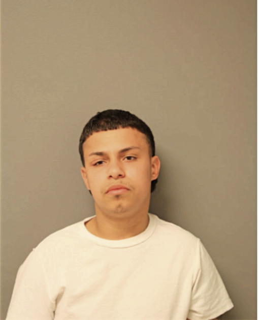 BRANDON ROSARIO, Cook County, Illinois