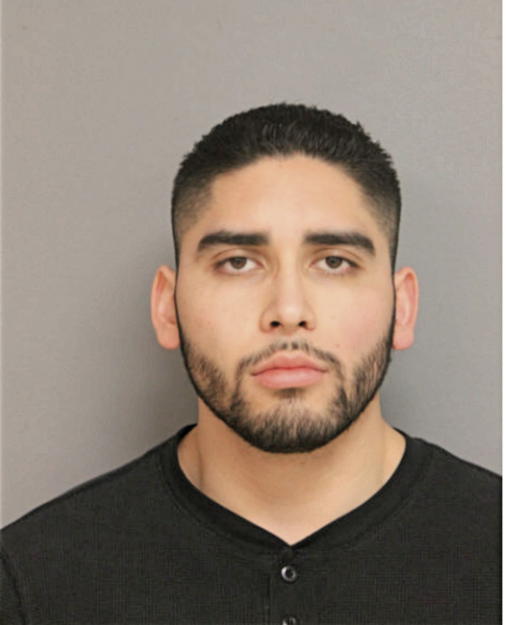 ANGEL R RUIZ, Cook County, Illinois