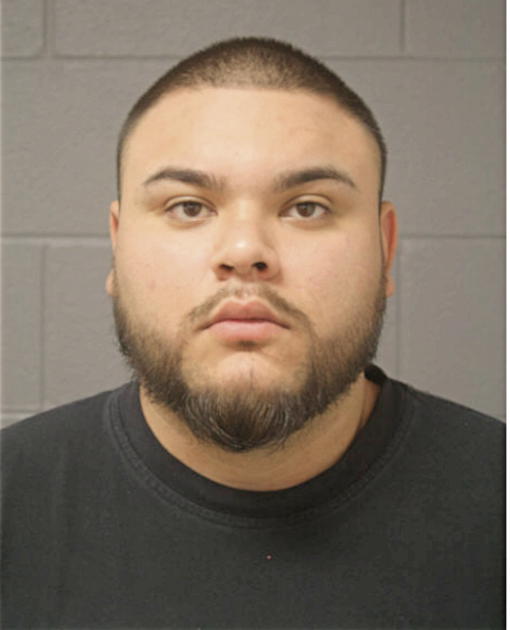 JAIME SALINAS, Cook County, Illinois
