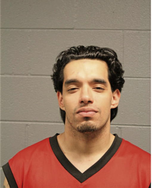JUAN I SALINAS, Cook County, Illinois