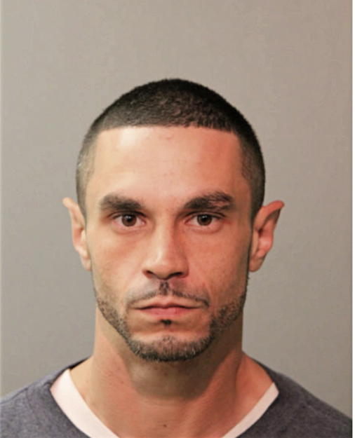 ANTHONY N SANCHEZ, Cook County, Illinois